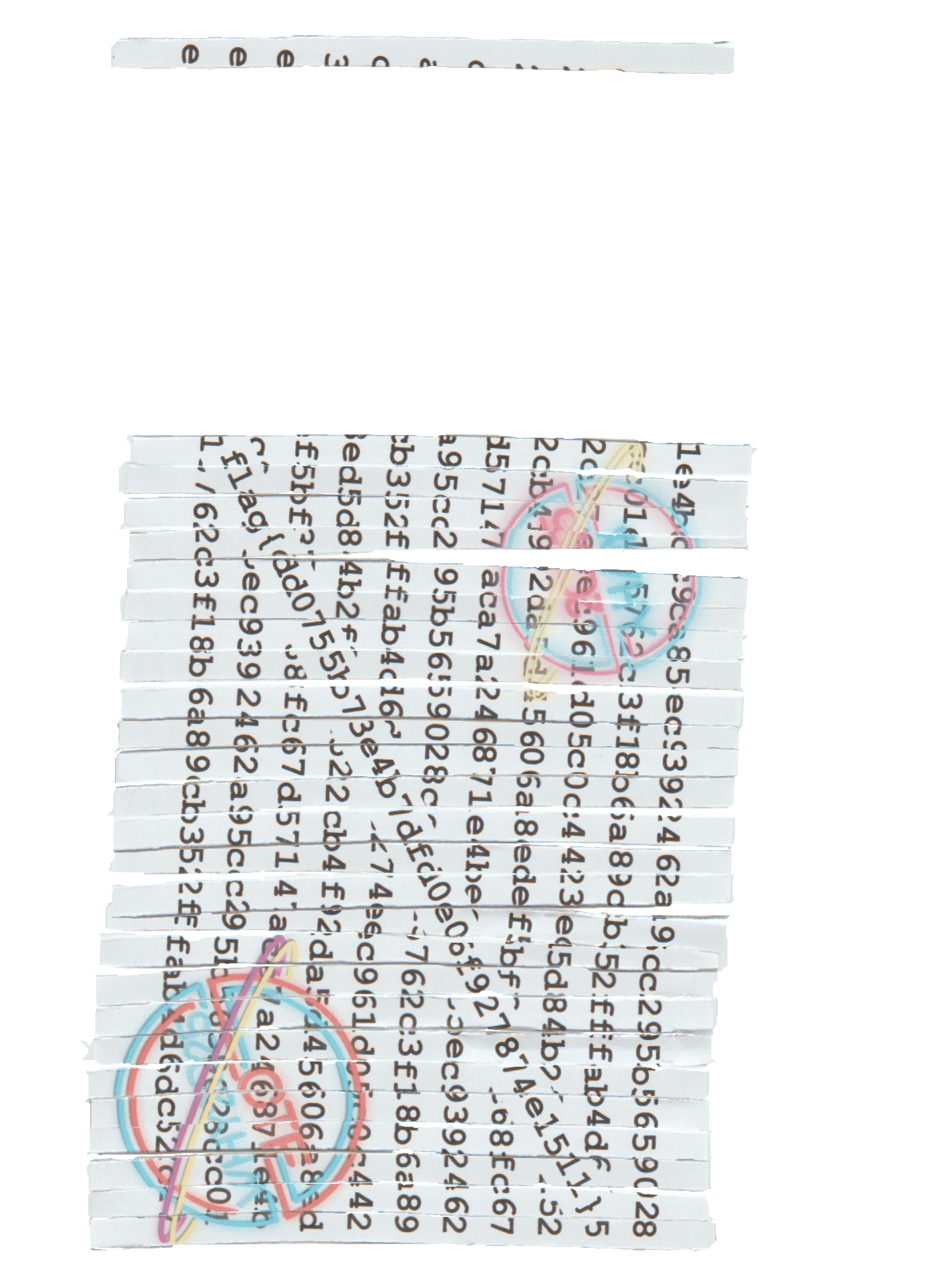 The recovered flag